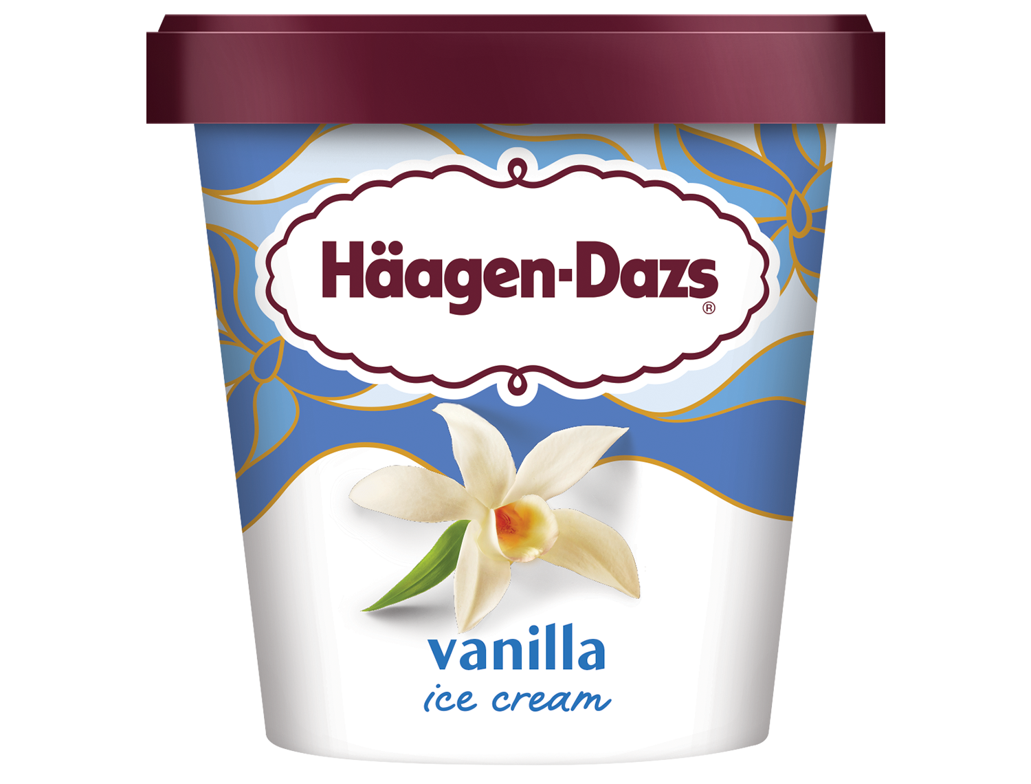 Haagen-Dazs, Vanilla (450mL)